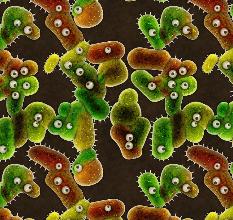 bacteria Image